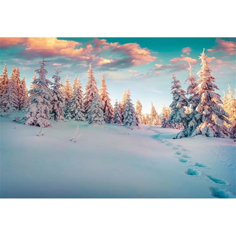 Yongfoto X M Vinyl Foto Hintergrund Winterlandschaft Mit Spuren Schnee