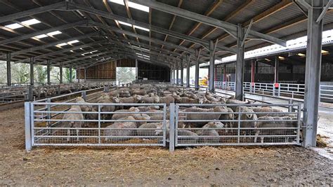 Whats In Your Livestock Shed Visits A £65000 Lambing Shed In West Wales Farmers Weekly