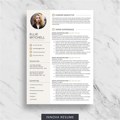 Professional Resume Template For Word Innova Resume Modern Resume