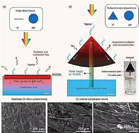 朱嘉课题组natl Sci Rev：“人工蒸腾”：新型高效太阳能水处理结构