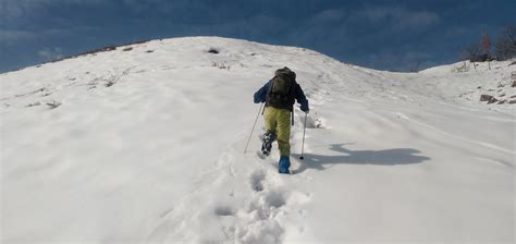 積雪期の深入山で雪を楽しむ🏔️ 妖怪白口さんの深入山の活動データ Yamap ヤマップ