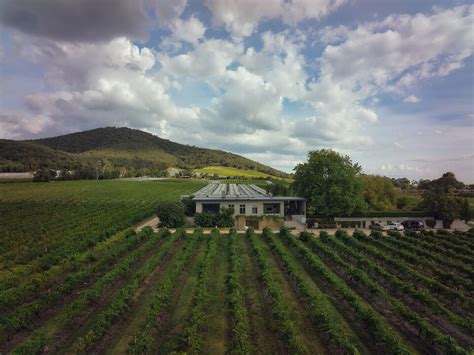 Yarra Yering Vineyard Yarra Valley Young Gun Of Wine