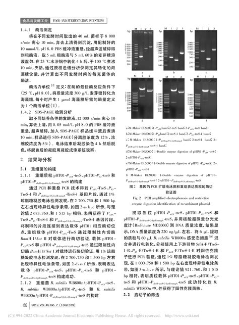 海藻糖合酶在枯草芽孢杆菌中的高效表达东晓生物科技股份有限公司