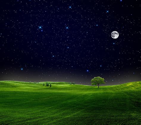 Night Sky Field Grass Moon Nature New Nice Stars Tree HD