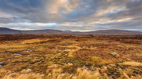 What Are Moorland And Machair Bbc Bitesize