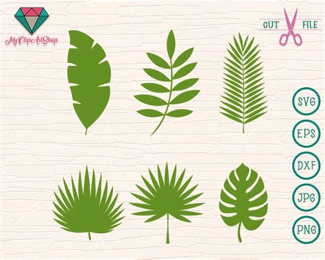 Tropical Leaves Svg Summer Green Vector Clipart Svg Cut Etsy