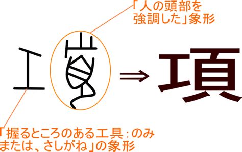 「項」という漢字の意味・成り立ち・読み方・画数・部首を学習