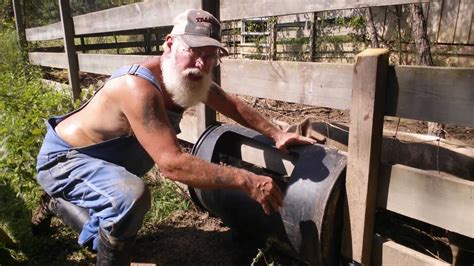 Homemade Pig Feeder Homemade Ftempo