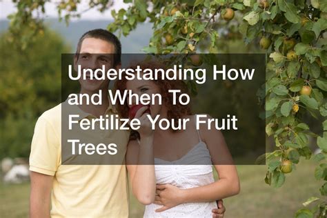 Understanding How And When To Fertilize Your Fruit Trees Tree Service And Removal In Maine