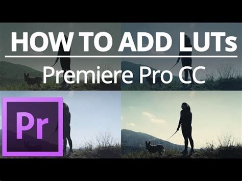 How To Add LUTs In Adobe Premiere Pro YouTube