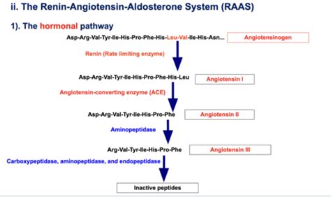 Anatomy Physiology Patho Of Cardio System Dr Sheng Lecture 1