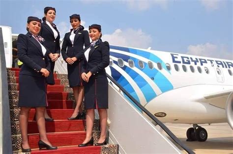 Egypt Air Flight Attendant Requirements And Qualifications Cabin Crew Hq