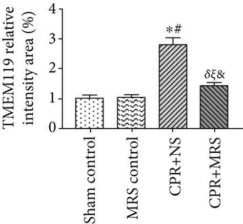 MRS Inhibited Microglial Activation In The Hippocampus After CA CPR