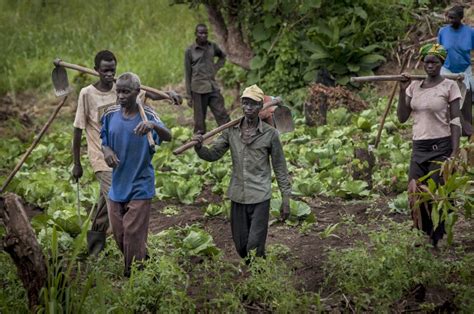 Invest In Agriculture To Fight Youth Unemployment South Sudan