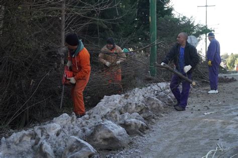 Intenso Trabajo De Las Cuadrillas Junto Al Intendente En Poda