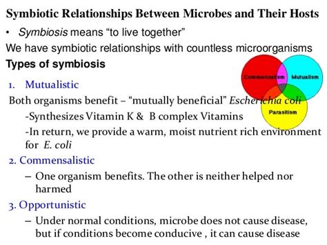 Human Nutrition Gut Microbiome And Immune System