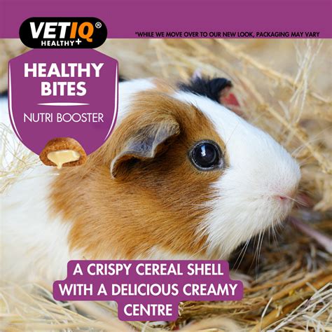 Healthy Bites Nutri Booster For Small Animals Vetiq Healthy