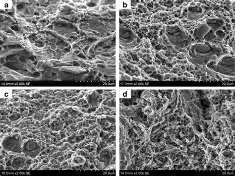 SEM Micrographs Showing Fracture Surface Characteristics Of Tensile