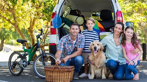 Vacaciones De Semana Santa Con Tu Mascota Planes Para Hacer Juntos Y