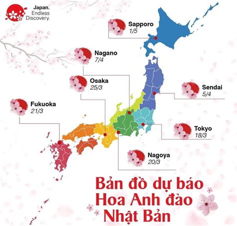 Tham khảo lịch dự kiến hoa anh đào nở tại Nhật Bản, chuẩn bị cho chuyến ...