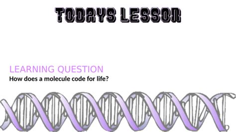 DNA Structure | Teaching Resources