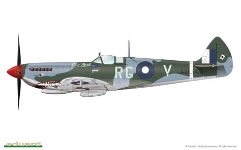 RAAF Spitfire Mk VIII Models Hobbies 4 U