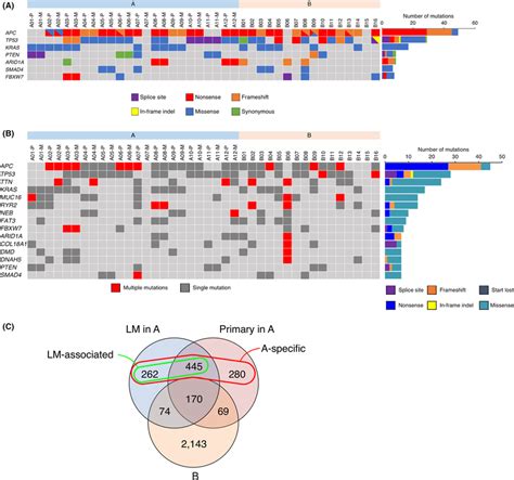 A Presence Of Various Somatic Mutations Is Shown In Each Specimen For