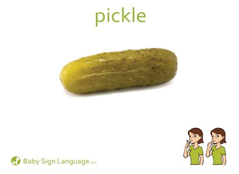 Pickle Flash Card