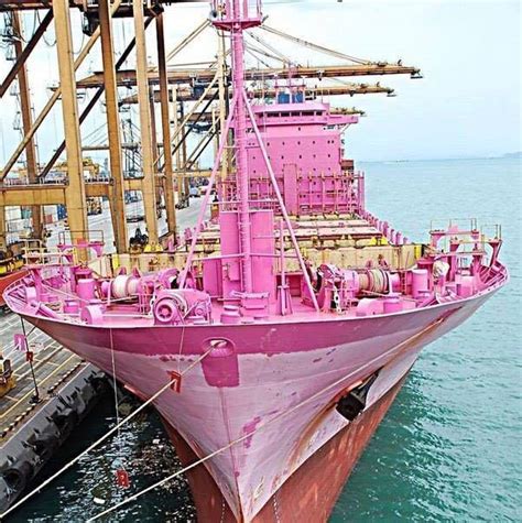 Pink Lady Pink Cargo Ship