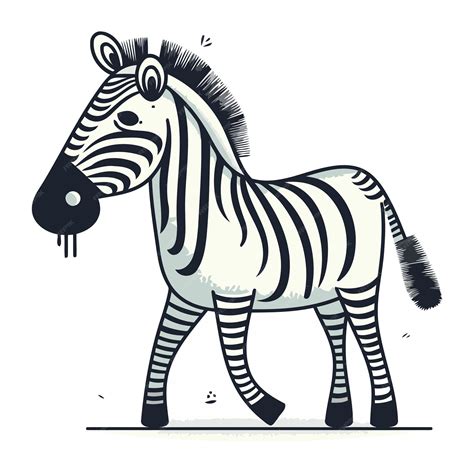 Premium Vector Zebra Vector Illustration Hand Drawn Zebra Isolated On