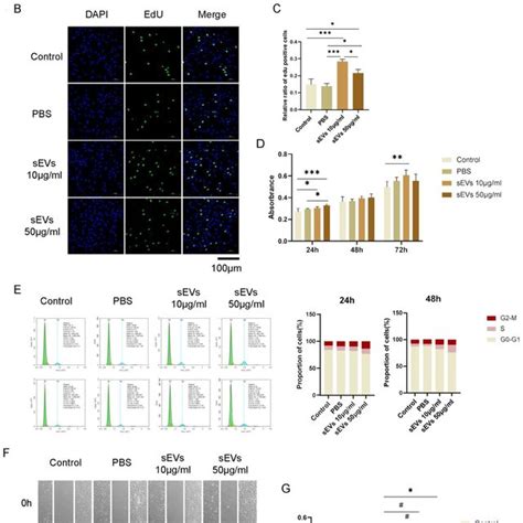 Dfscs Sevs Promoted Proliferation And Migration Of Pdlscs A Download Scientific Diagram