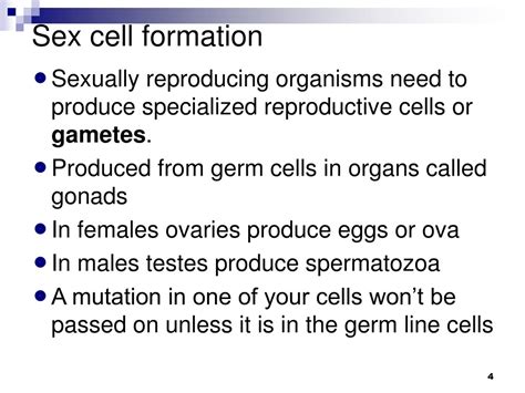 Ppt Meiosis To Mendel Powerpoint Presentation Free Download Id 394883