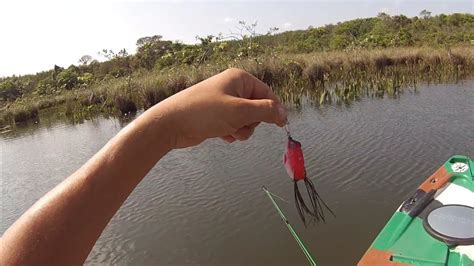 Pescaria Rio Pardo Ms Fishing Peixe Caiaqueiro Aventura Canping