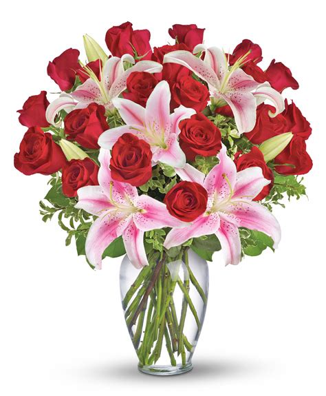 Valentines Day Two Dozen Roses With Stargazers Columbus Oh Florist Flowerama Columbus