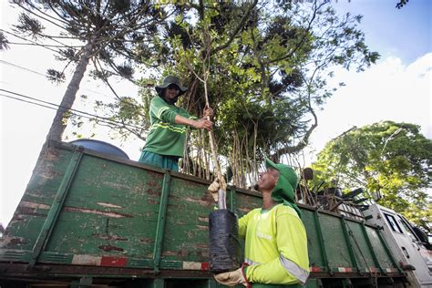 Curitiba é a capital com melhor qualidade de vida no Brasil, segundo