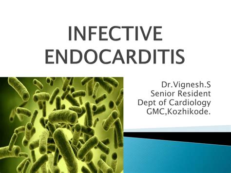 Ppt Infective Endocarditis Powerpoint Presentation Free Download Id360698