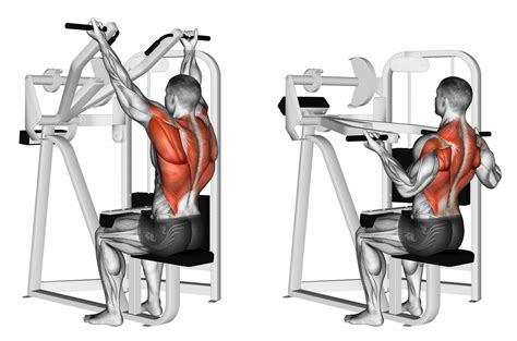 Get Ready to Maximize Your Back Workout with a High-Quality Lat Pulldown Machine