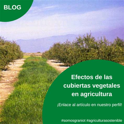 Efecto De Las Cubiertas Vegetales En La Agricultura