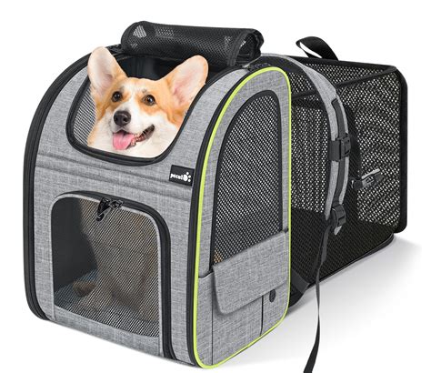 Pecute Pet Carrier Backpack, Large Cat Carrier Backpack Hold Up to 33 ...