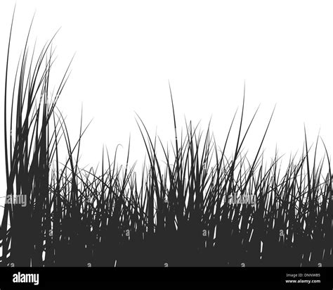 Vector Illustration Grass Background For Design Use Stock Vector Image