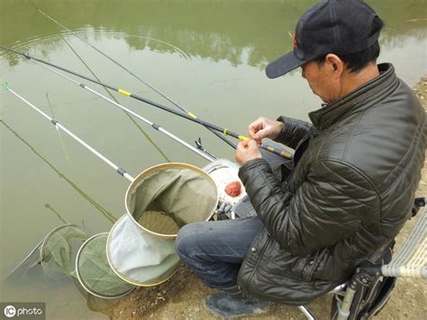 這款酒米窩料全年通用，釣鯽魚效果顯著，誘釣結合讓漁獲翻倍 每日頭條