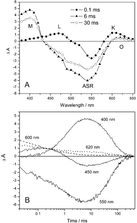 Laser Induced Absorption Changes In Purified Isolated Asr A