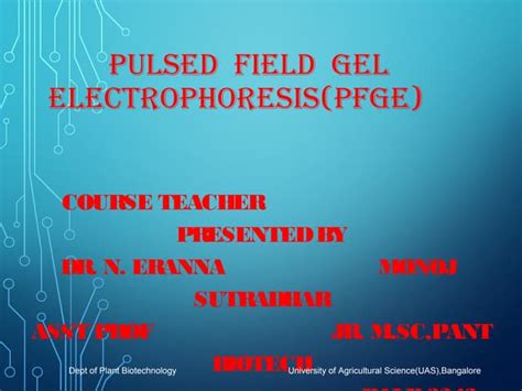 Pulse Field Gel Electrophoresis 2 Ppt