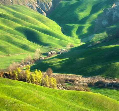 Fresh Countryside Photography by Marcin Sobas