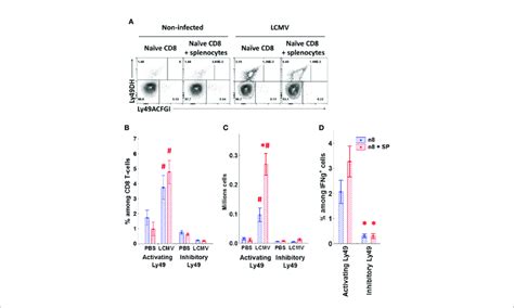 Naïve CD8 T cells upregulate activating Ly49 receptors during virus