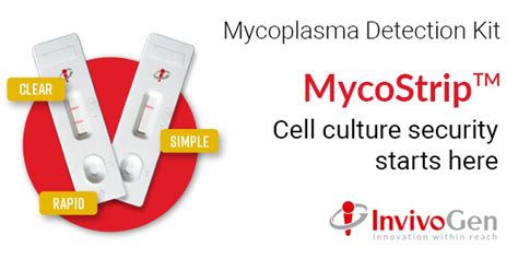 Mycostrip™ Mycoplasma Detection Kit Invivogen