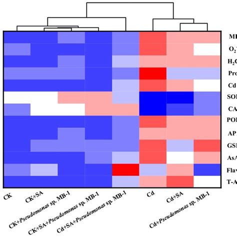 Hierarchical Clustering And Heat Map Analysis Of The Oxidants