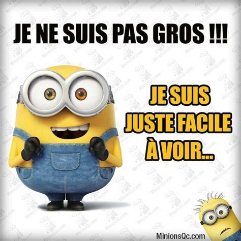 Épinglé par dupre sur Minion humour Blague minion Citations drôles