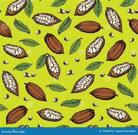 Frutta A Cacao Disegno Vettoriale Illustrazione Vettoriale