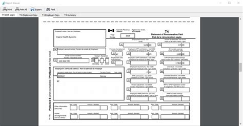 T4 Summary Fillable Fill Online Printable Fillable Blank 47 OFF